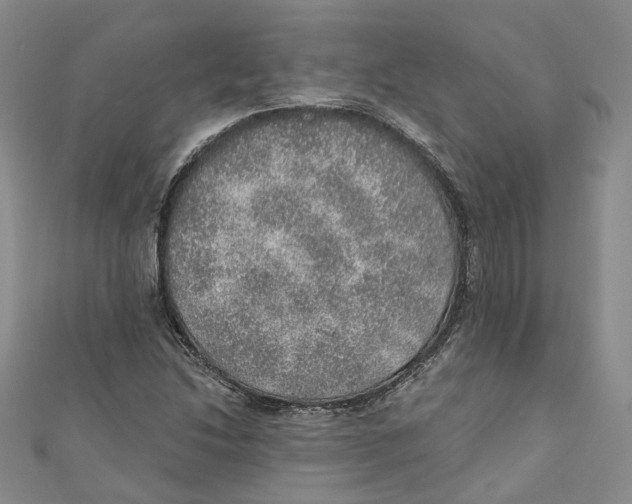 X0000110981214200907171724