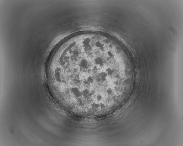 X0000110981215200907171724