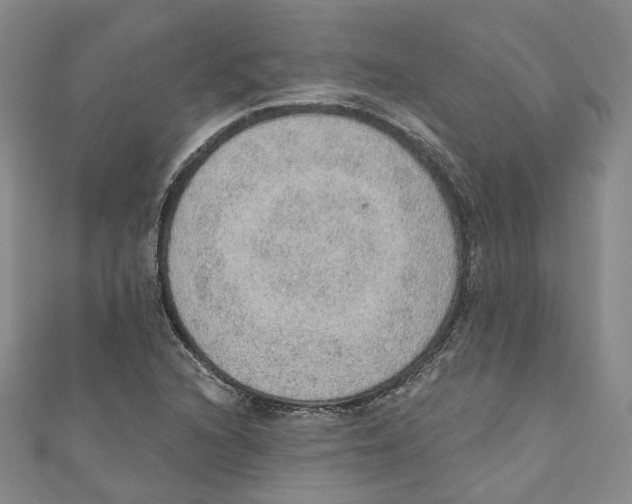 X0000110981216200907171725