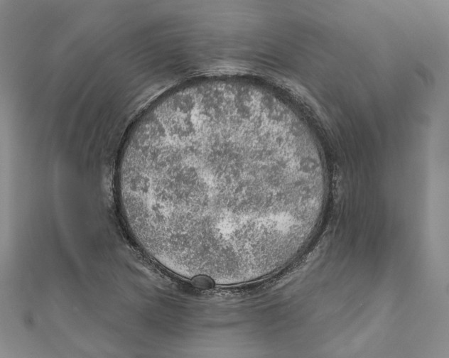 X0000110981217200907171725