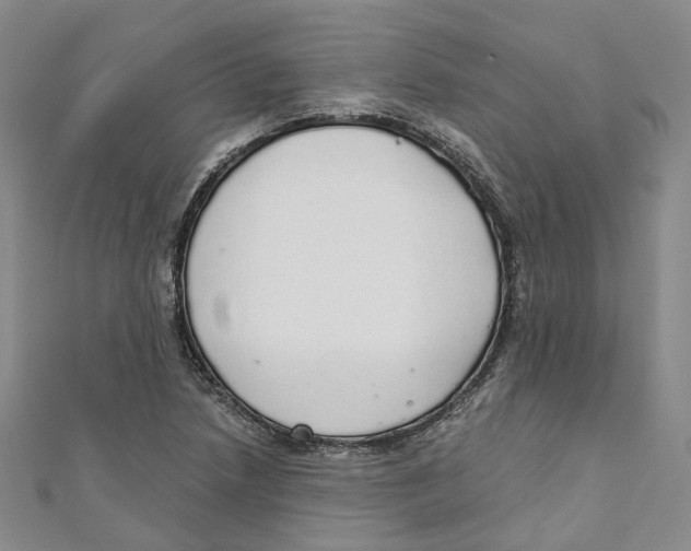 X0000110981218200907171725