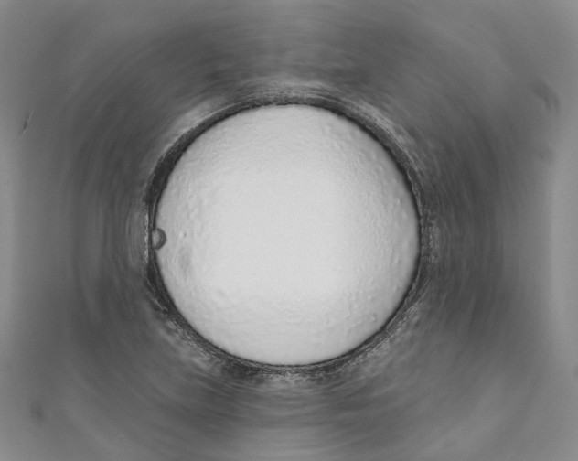 X0000110981219200907171725