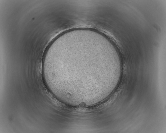 X0000110981220200907171725