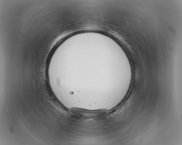 X0000110981222200907171725