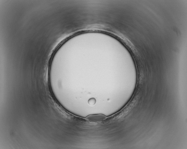 X0000110981224200907171725