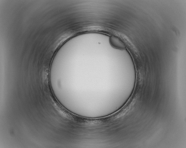 X0000110981225200907171725