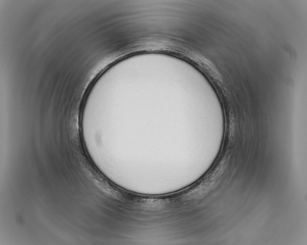 X0000110981226200907171725
