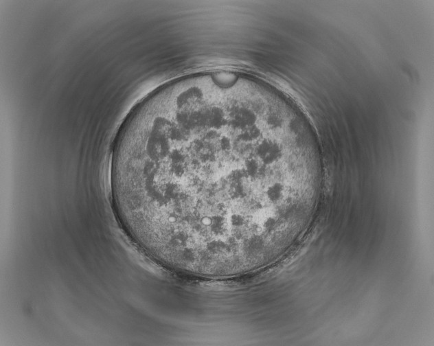 X0000110981227200907171725