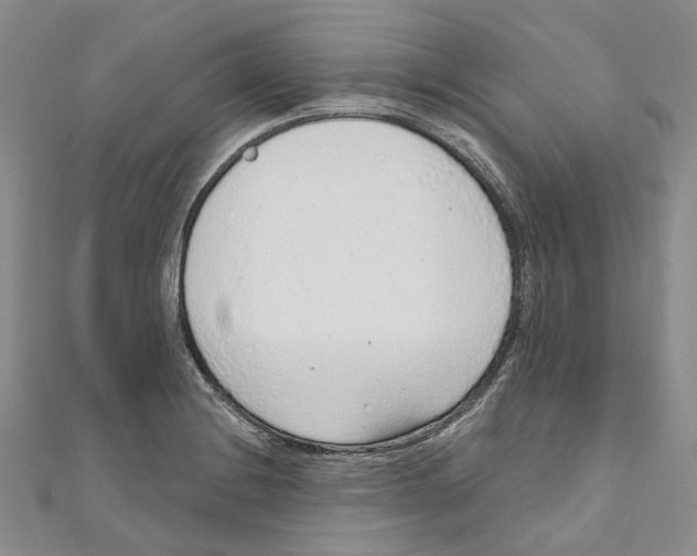 X0000110981228200907171725