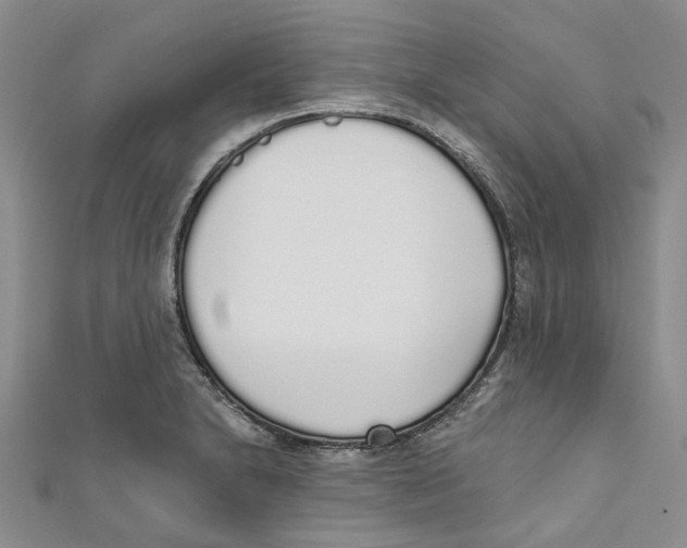 X0000110981230200907171725