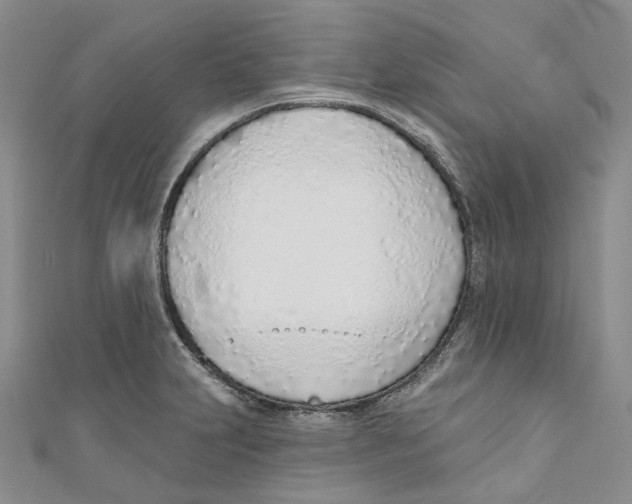 X0000110981231200907171725
