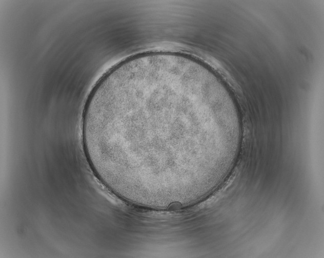 X0000110981232200907171725