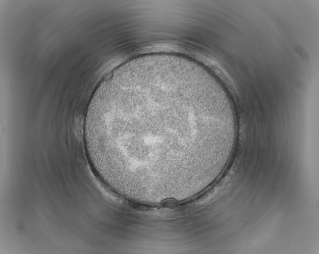 X0000110981233200907171725