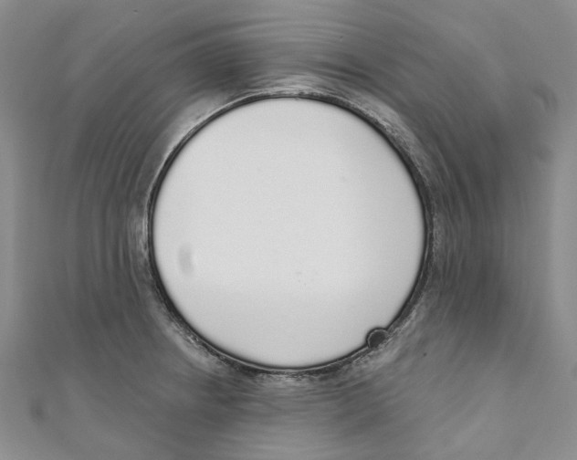 X0000110981234200907171725
