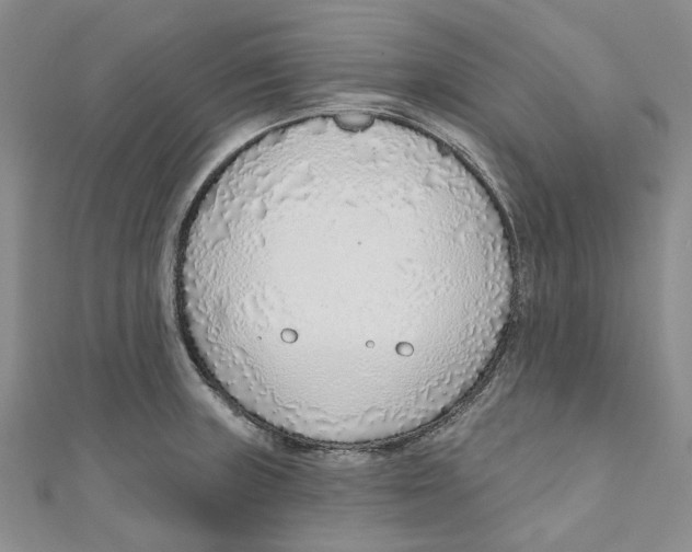 X0000110981235200907171725