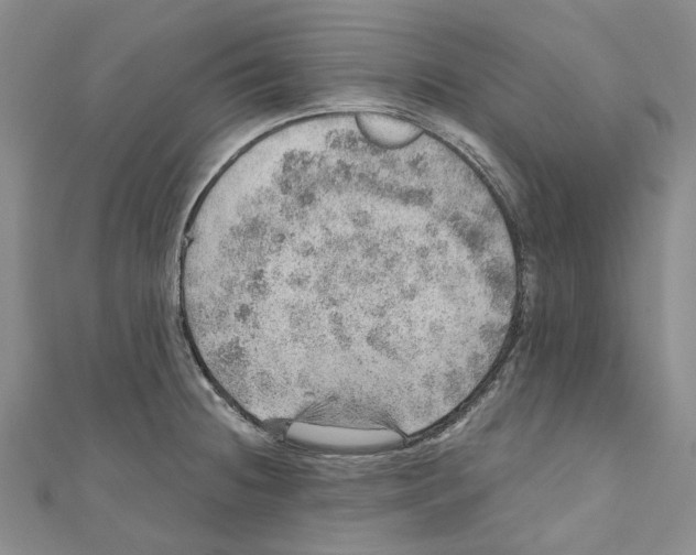 X0000110981236200907171725