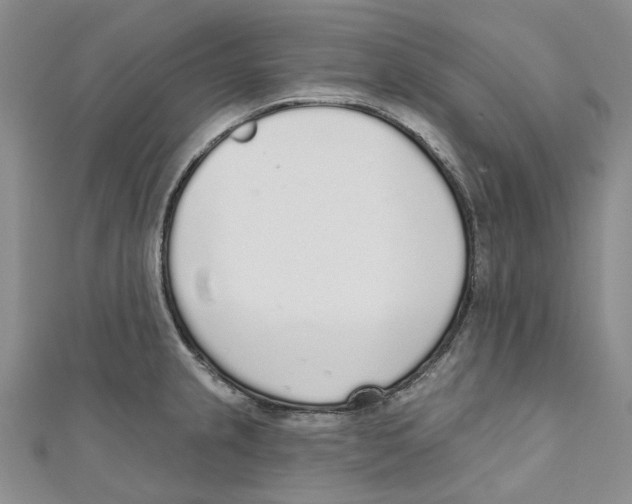 X0000110981237200907171725