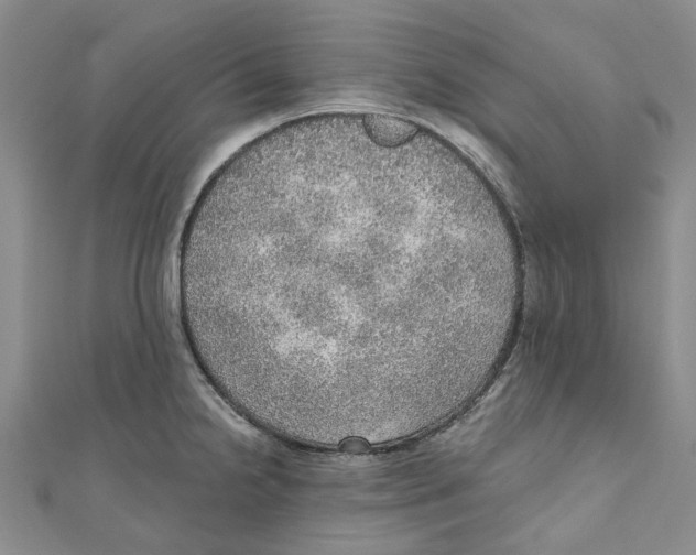 X0000110981238200907171725