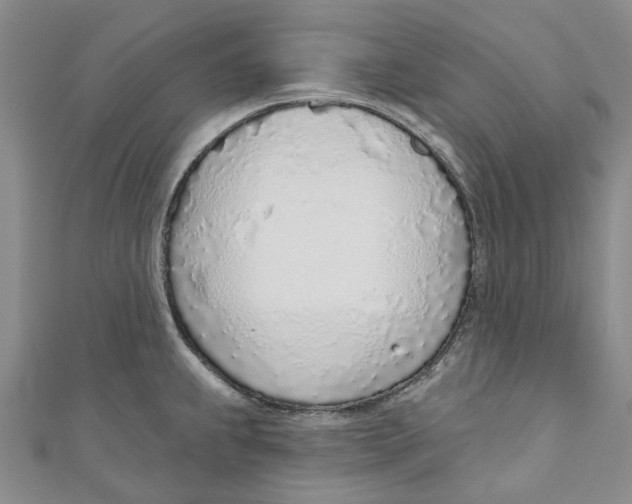X0000110981239200907171725