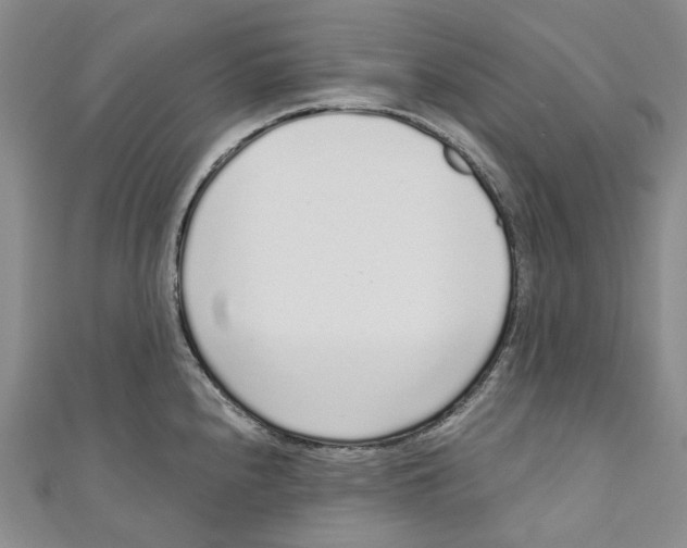X0000110981240200907171725