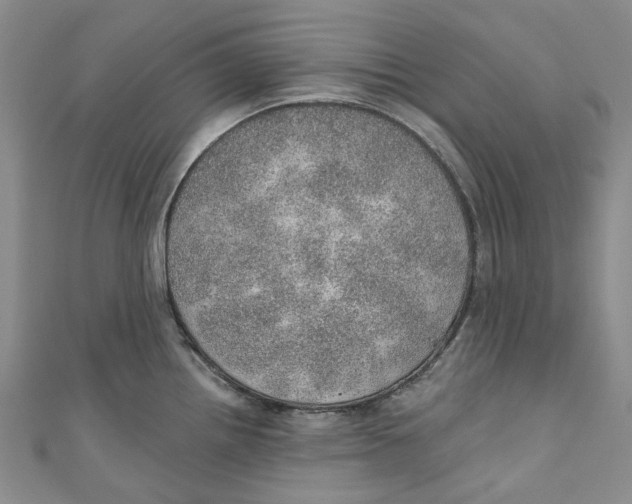 X0000110981242200907171725