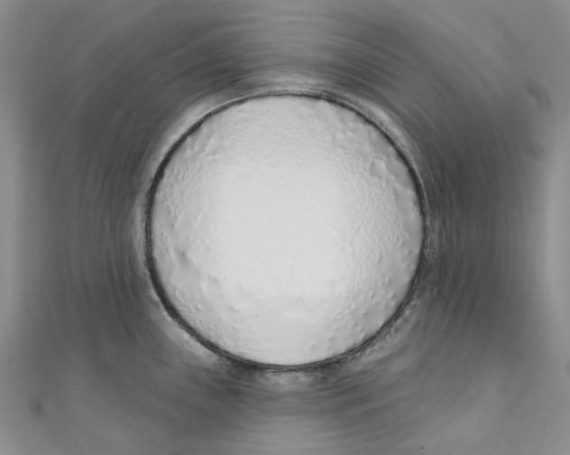 X0000110981243200907171725