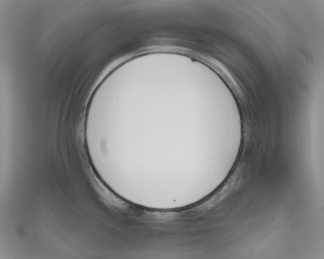 X0000110981244200907171725