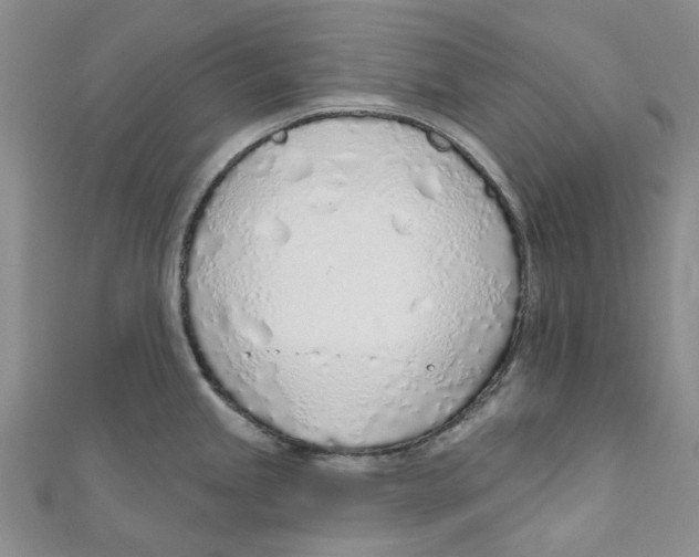X0000110981245200907171725