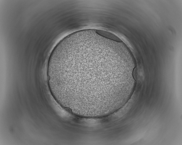 X0000110981246200907171725