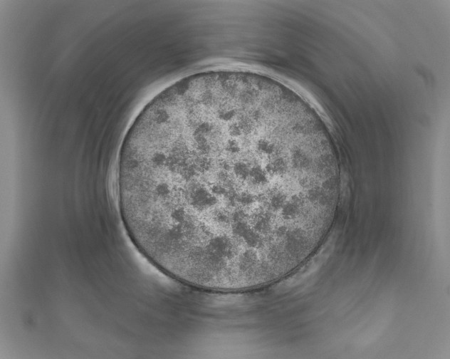 X0000110981247200907171725