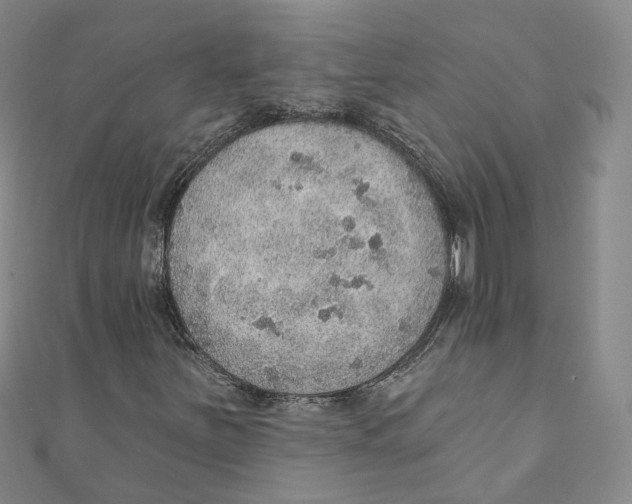 X0000110981251200907171724