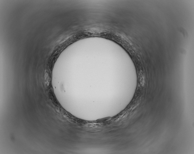 X0000110981253200907171724