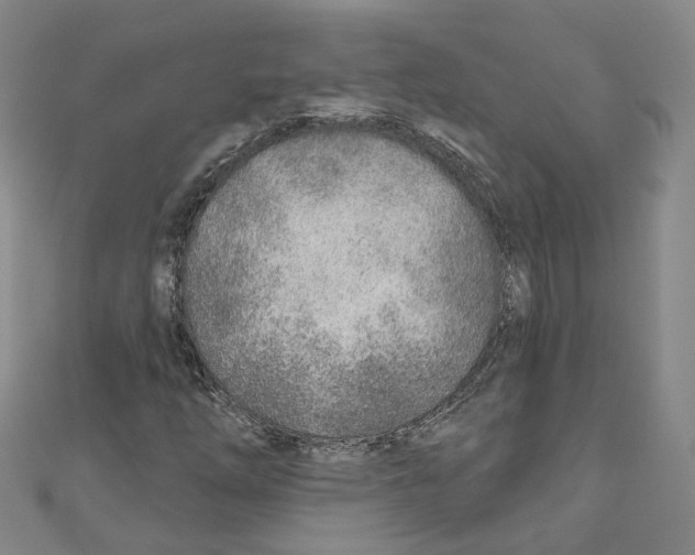 X0000110981254200907171724