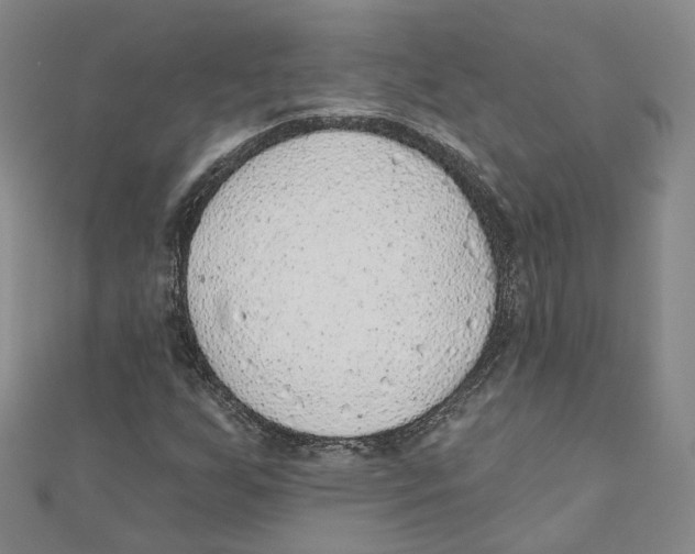 X0000110981255200907171724