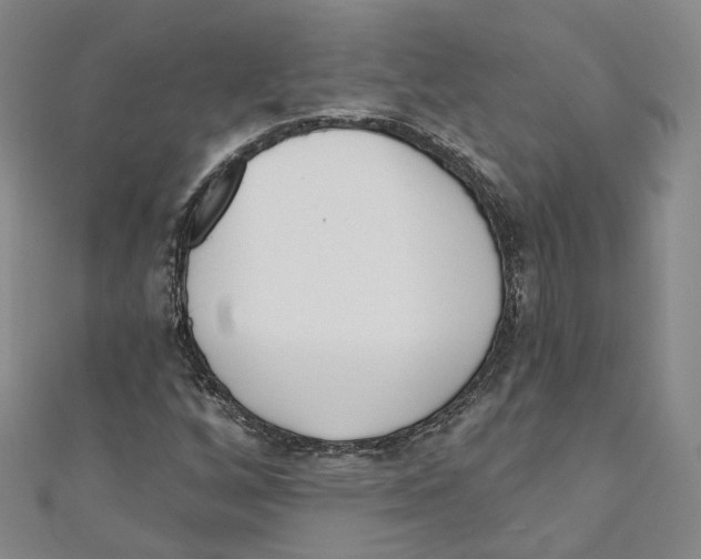 X0000110981256200907171724
