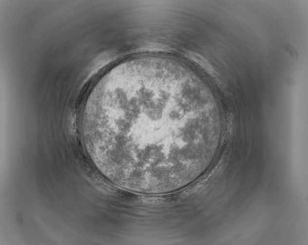 X0000110981258200907171724