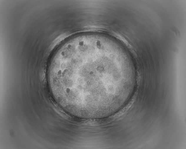 X0000110981259200907171724