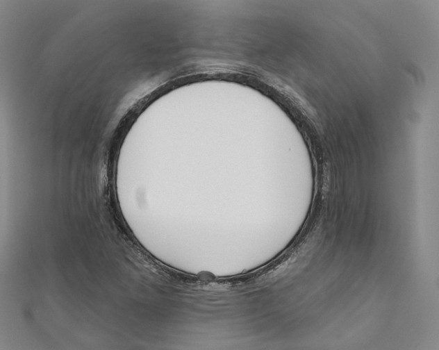 X0000110981261200907171724