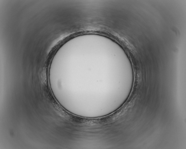 X0000110981262200907171724