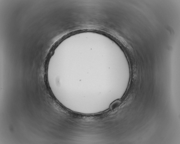 X0000110981264200907171724