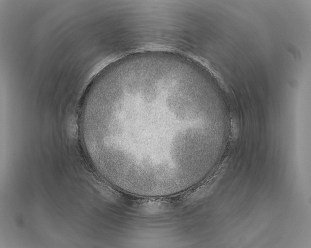 X0000110981266200907171724