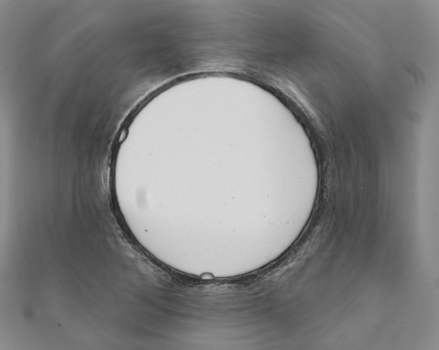 X0000110981268200907171724