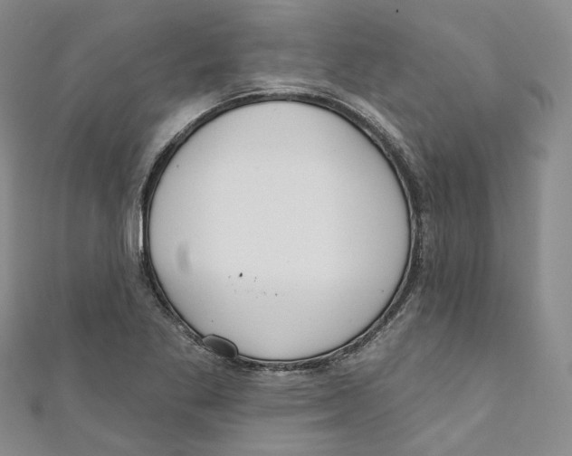 X0000110981269200907171724