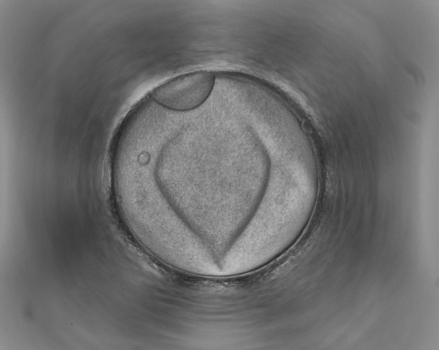 X0000110981270200907171724