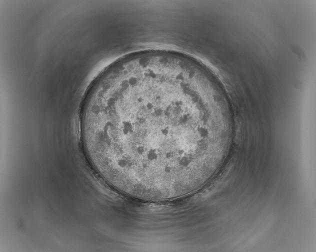 X0000110981271200907171724