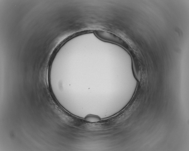 X0000110981272200907171724