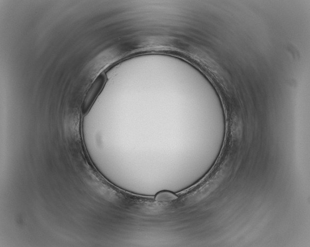 X0000110981273200907171724