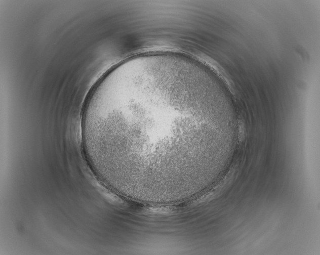 X0000110981274200907171724