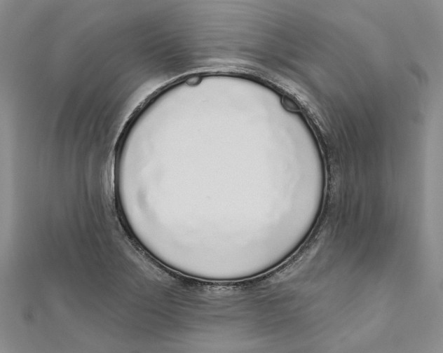 X0000110981275200907171724