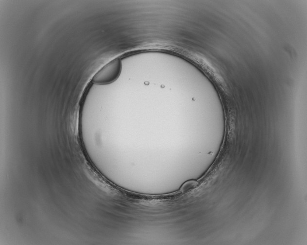 X0000110981276200907171724